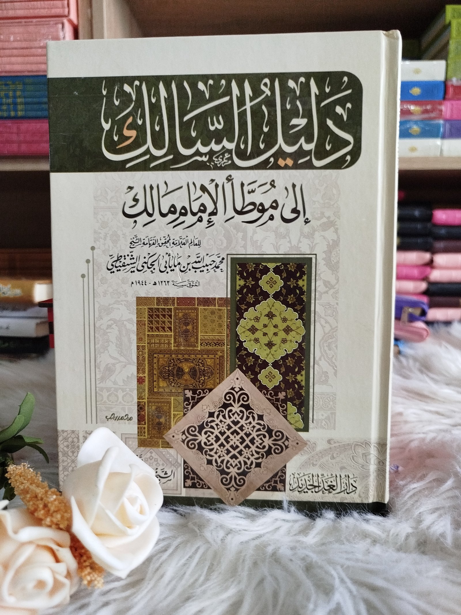 دليل السالك