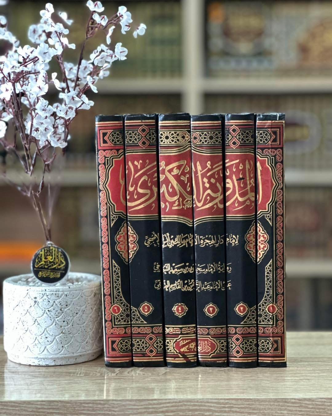 المدونة الكبري 6/1