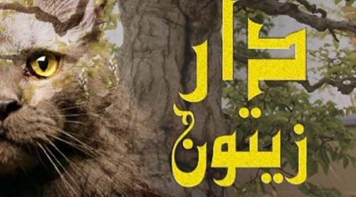 دار الزيتون