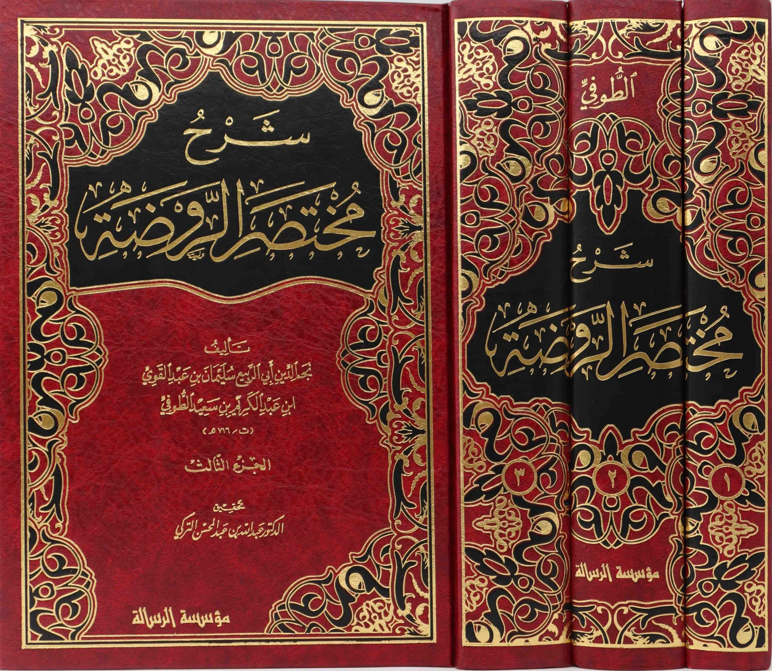 شرح مختصر الروضة 1/3