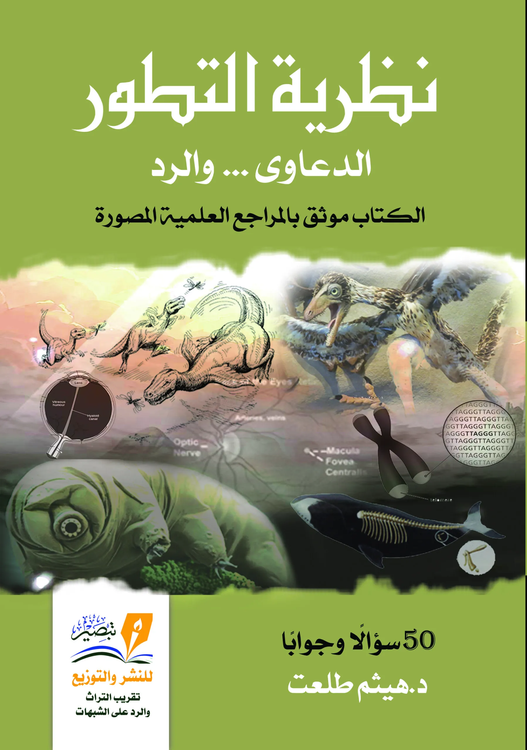 نظرية التطور 