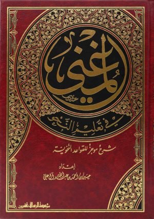 المغني في تعليم النحو/فني